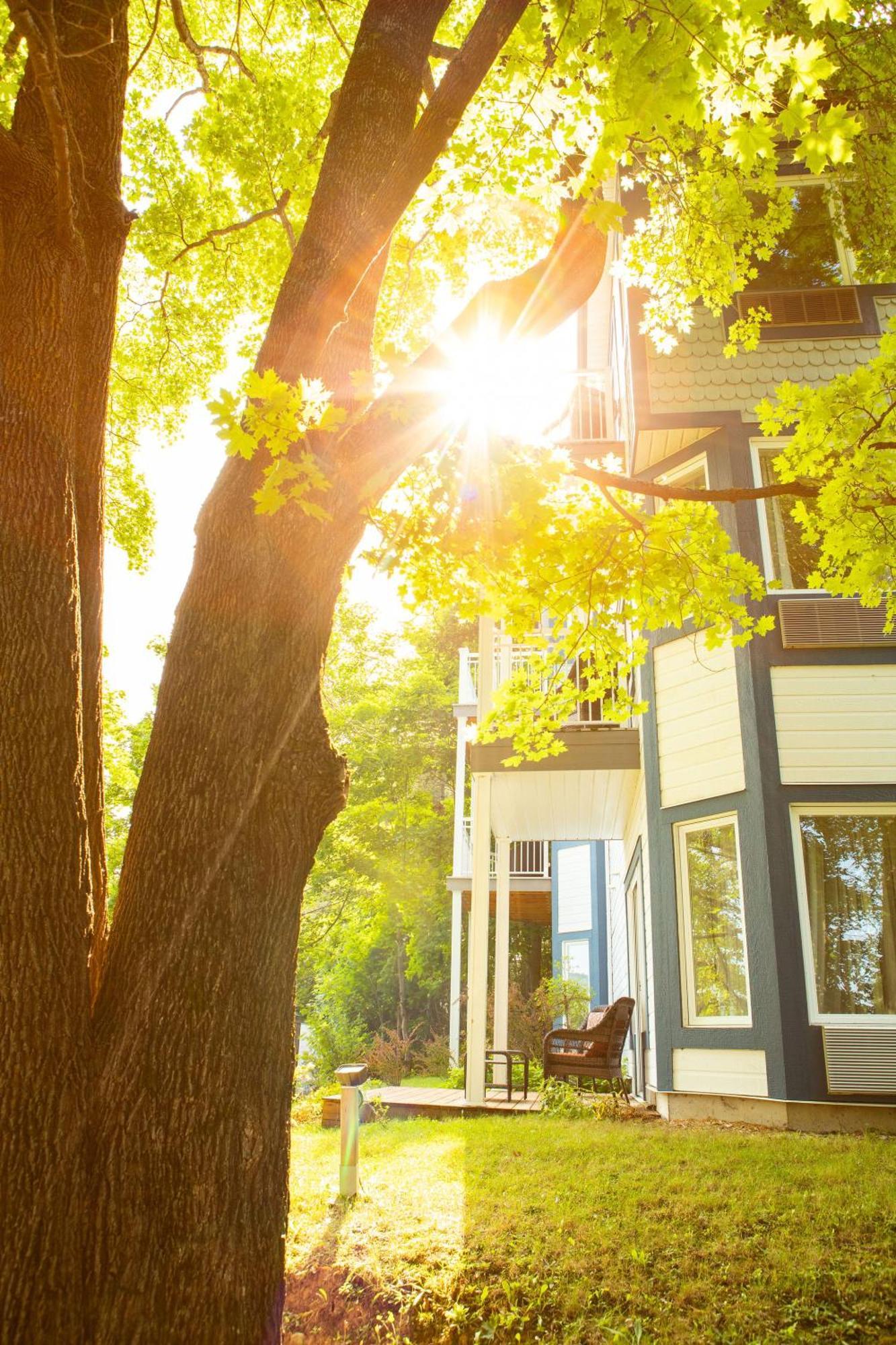 Auberge Sous Les Arbres Gaspé Kültér fotó